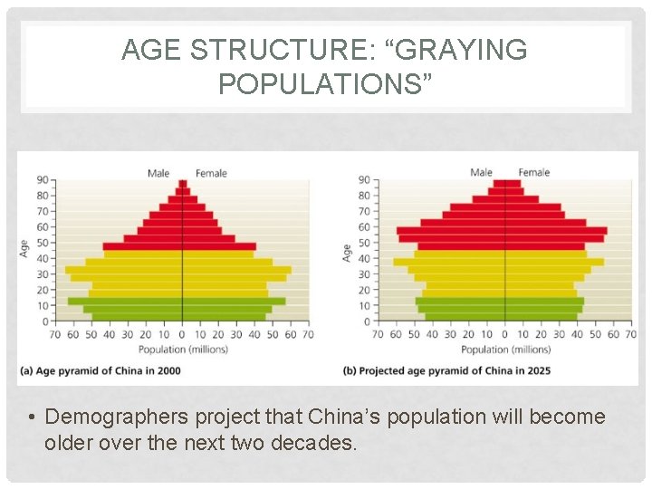 AGE STRUCTURE: “GRAYING POPULATIONS” • Demographers project that China’s population will become older over