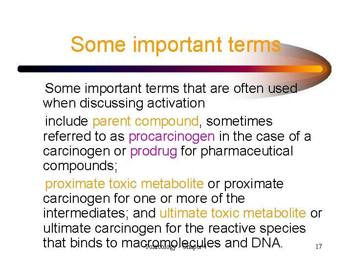 Some important terms that are often used when discussing activation include parent compound, sometimes