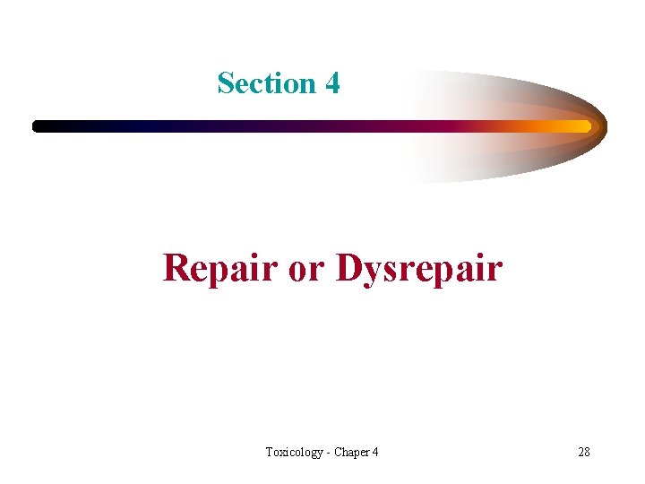 Section 4 Repair or Dysrepair Toxicology - Chaper 4 28 