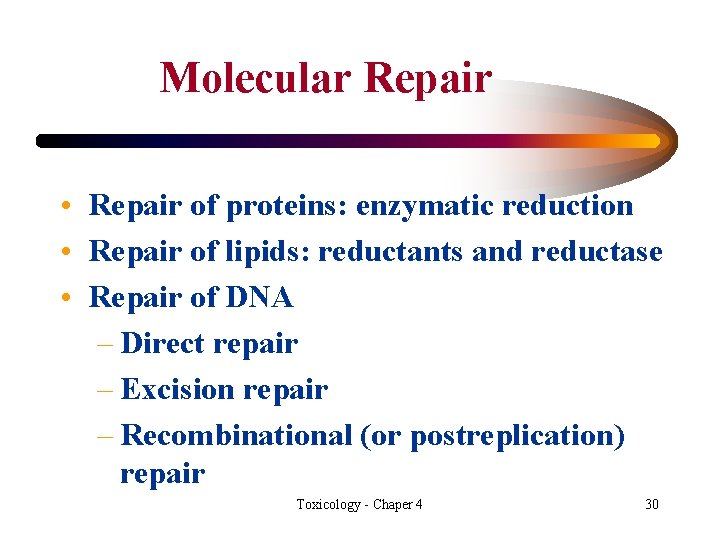 Molecular Repair • Repair of proteins: enzymatic reduction • Repair of lipids: reductants and