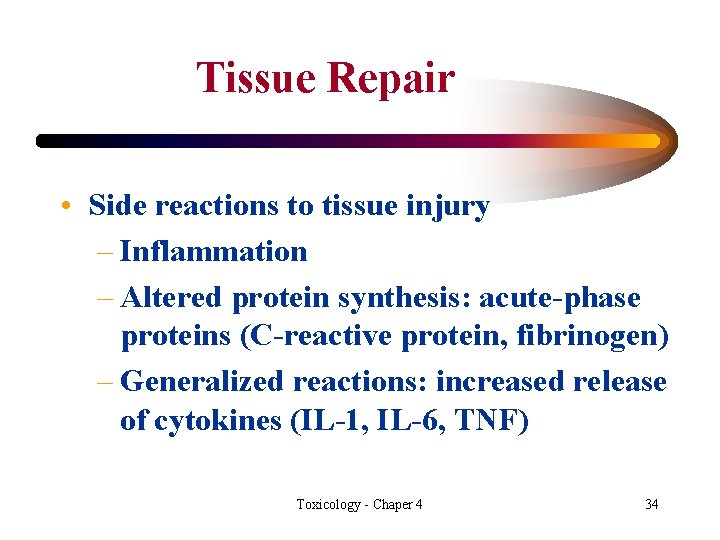 Tissue Repair • Side reactions to tissue injury – Inflammation – Altered protein synthesis: