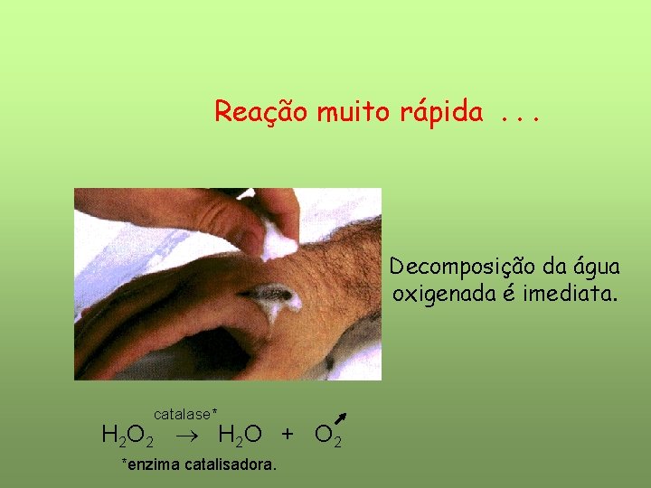 Reação muito rápida. . . Decomposição da água oxigenada é imediata. catalase* H 2 Reação muito rápida. . . Decomposição da água oxigenada é imediata. catalase* H 2
