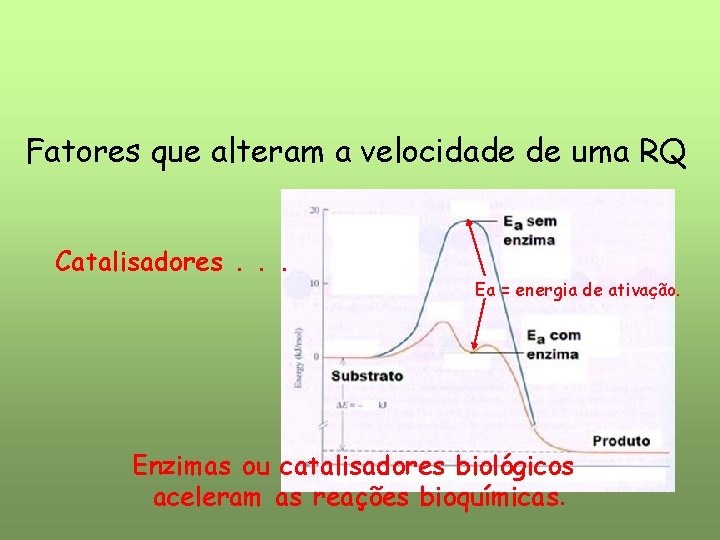 Fatores que alteram a velocidade de uma RQ Catalisadores. . . Ea = energia Fatores que alteram a velocidade de uma RQ Catalisadores. . . Ea = energia