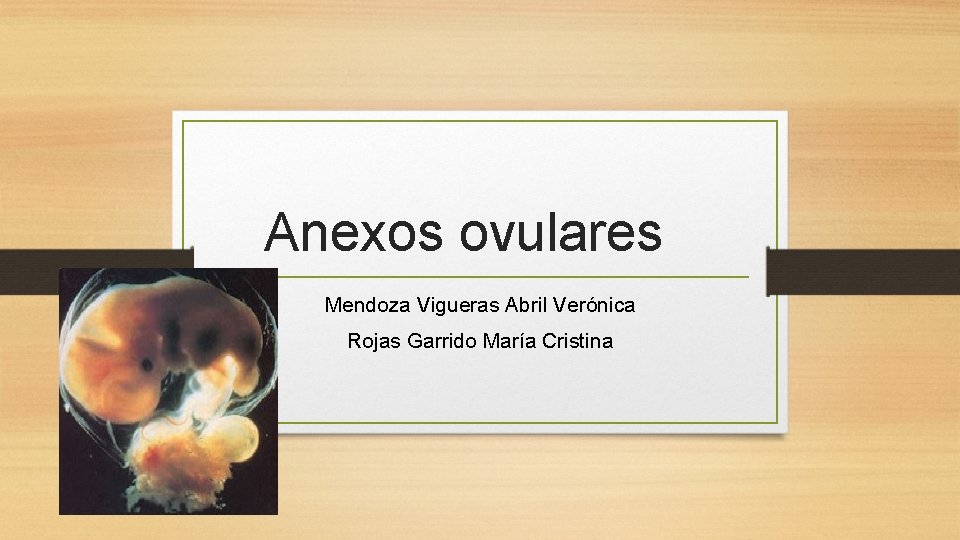 Anexos ovulares Mendoza Vigueras Abril Verónica Rojas Garrido María Cristina 