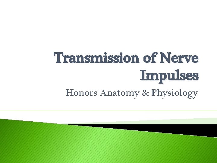 Transmission of Nerve Impulses Honors Anatomy & Physiology 