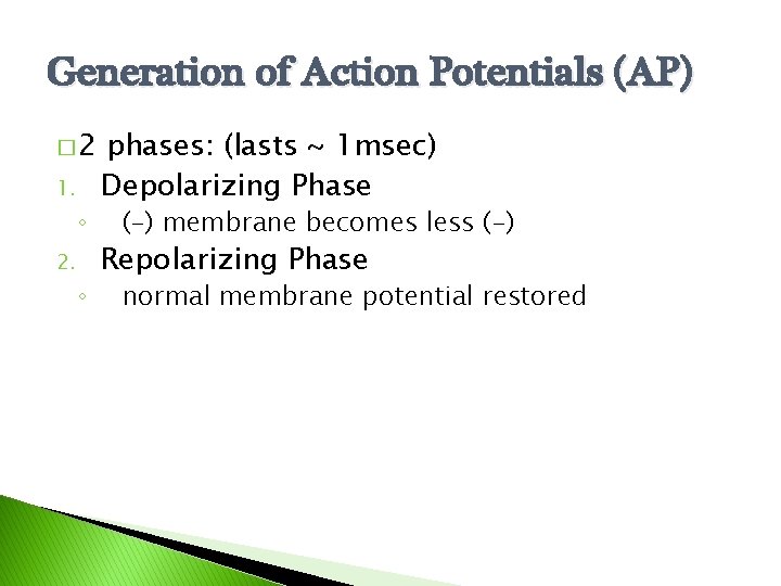 Generation of Action Potentials (AP) � 2 1. ◦ 2. ◦ phases: (lasts ~
