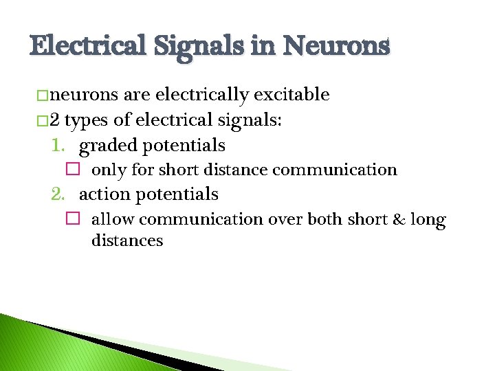 Electrical Signals in Neurons � neurons are electrically excitable � 2 types of electrical