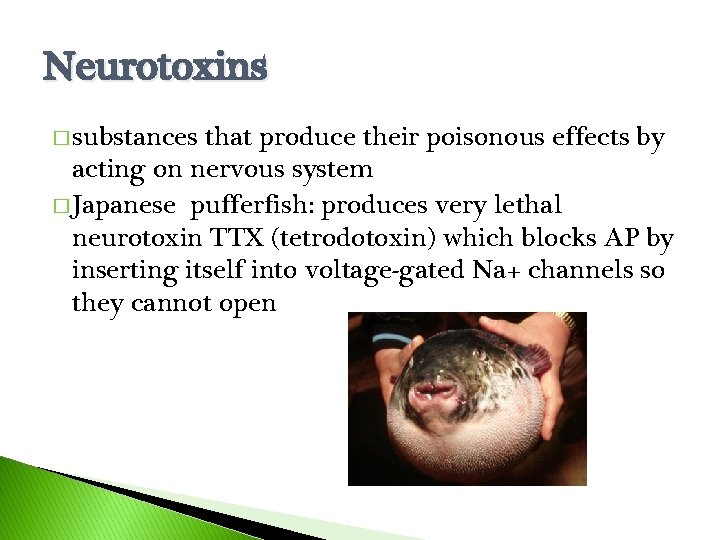 Neurotoxins � substances that produce their poisonous effects by acting on nervous system �