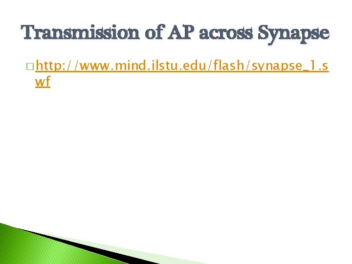 Transmission of AP across Synapse � http: //www. mind. ilstu. edu/flash/synapse_1. s wf 