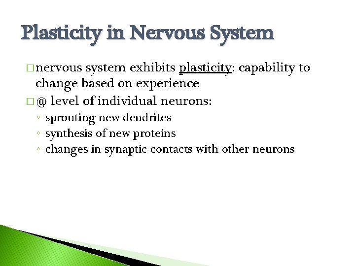 Plasticity in Nervous System � nervous system exhibits plasticity: capability to change based on