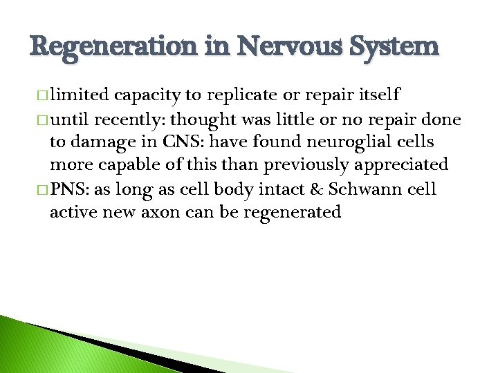 Regeneration in Nervous System � limited capacity to replicate or repair itself � until