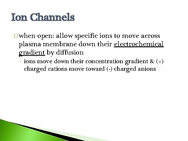 Ion Channels � when open: allow specific ions to move across plasma membrane down