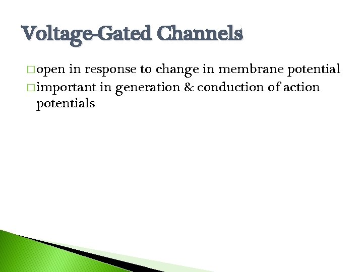 Voltage-Gated Channels � open in response to change in membrane potential � important in