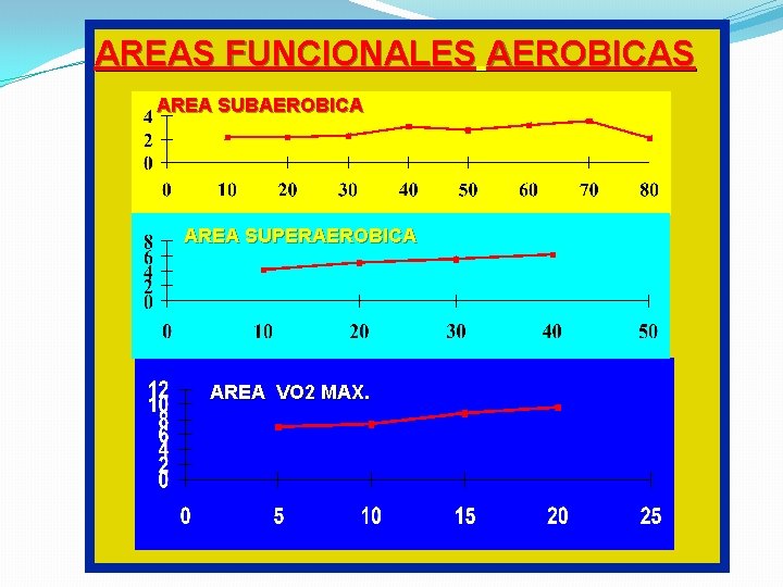 AREAS FUNCIONALES AEROBICAS AREA SUBAEROBICA AREA SUPERAEROBICA AREA VO 2 MAX. 