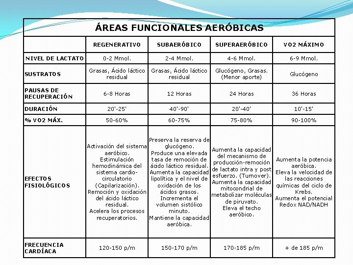 ÁREAS FUNCIONALES AERÓBICAS REGENERATIVO SUBAERÓBICO SUPERAERÓBICO VO 2 MÁXIMO 0 -2 Mmol. 2 -4