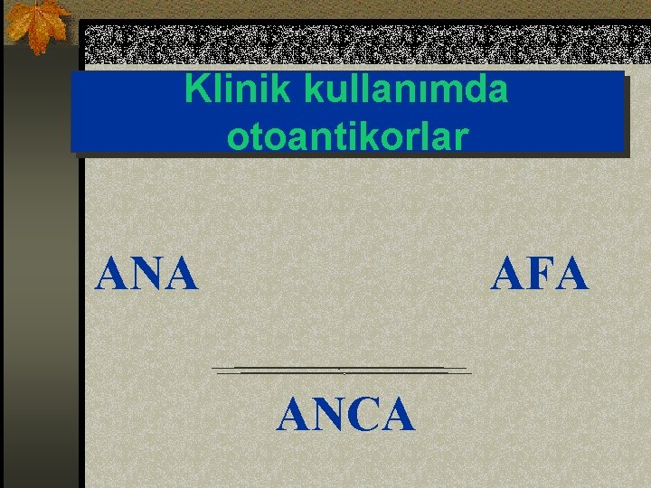Klinik kullanımda otoantikorlar ANA AFA ANCA 