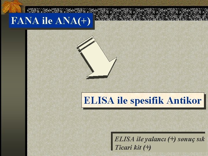 FANA ile ANA(+) ELISA ile spesifik Antikor ELISA ile yalancı (+) sonuç sık Ticari