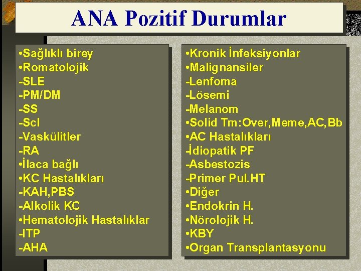 ANA Pozitif Durumlar • Sağlıklı birey • Romatolojik -SLE -PM/DM -SS -Scl -Vaskülitler -RA