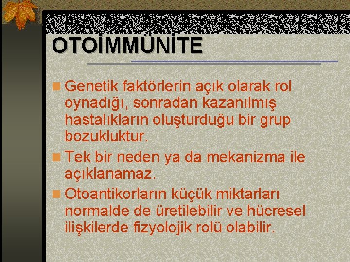 OTOİMMÜNİTE n Genetik faktörlerin açık olarak rol oynadığı, sonradan kazanılmış hastalıkların oluşturduğu bir grup