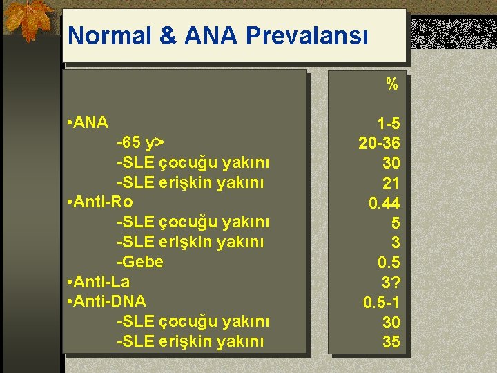 Normal & ANA Prevalansı % • ANA -65 y> -SLE çocuğu yakını -SLE erişkin