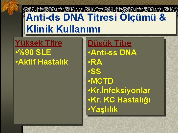 Anti-ds DNA Titresi Ölçümü & Klinik Kullanımı Yüksek Titre • %90 SLE • Aktif