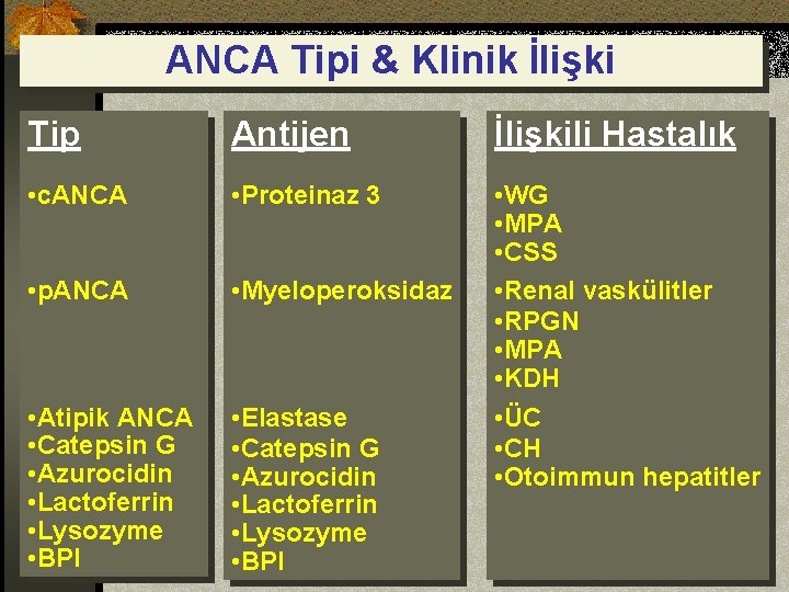 ANCA Tipi & Klinik İlişki Tip Antijen İlişkili Hastalık • c. ANCA • Proteinaz