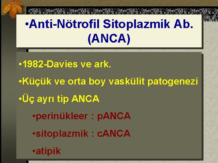  • Anti-Nötrofil Sitoplazmik Ab. (ANCA) • 1982 -Davies ve ark. • Küçük ve