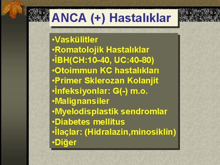 ANCA (+) Hastalıklar • Vaskülitler • Romatolojik Hastalıklar • İBH(CH: 10 -40, UC: 40