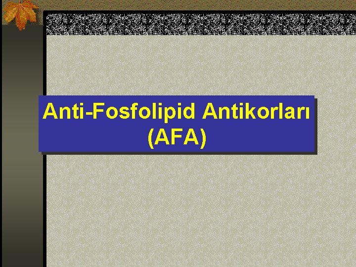 Anti-Fosfolipid Antikorları (AFA) 