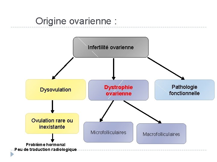 Origine ovarienne : Infertilité ovarienne Dysovulation Ovulation rare ou inexistante Problème hormonal Peu de