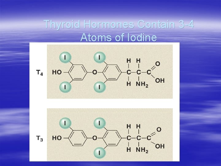 Thyroid Hormones Contain 3 -4 Atoms of Iodine 