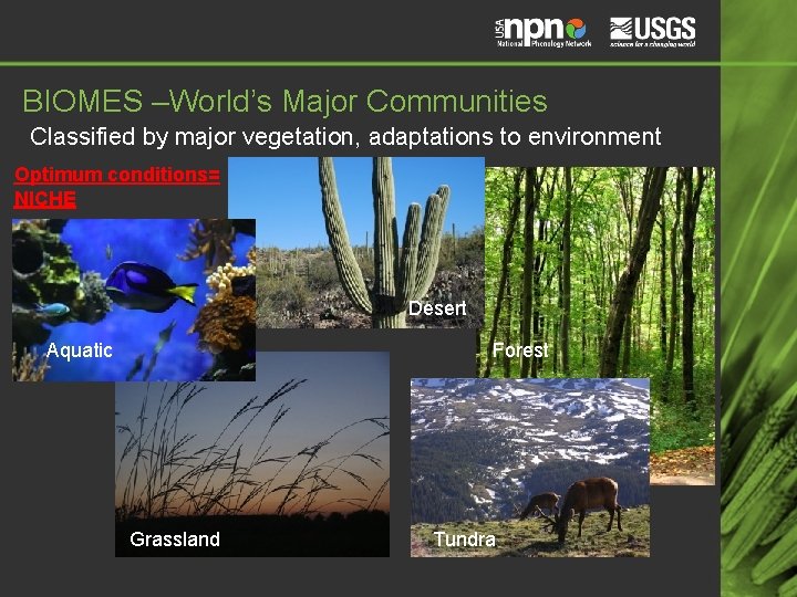 BIOMES –World’s Major Communities Classified by major vegetation, adaptations to environment Optimum conditions= NICHE