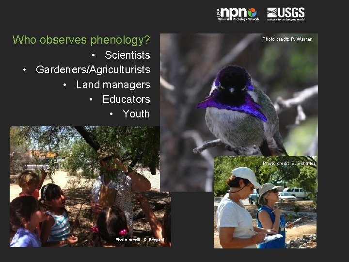 Who observes phenology? Photo credit: P. Warren • Scientists • Gardeners/Agriculturists • Land managers