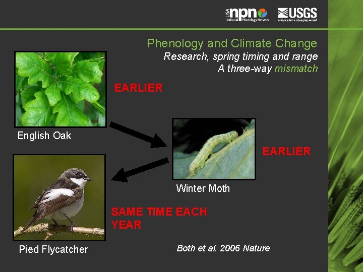 Phenology and Climate Change Research, spring timing and range A three-way mismatch EARLIER English