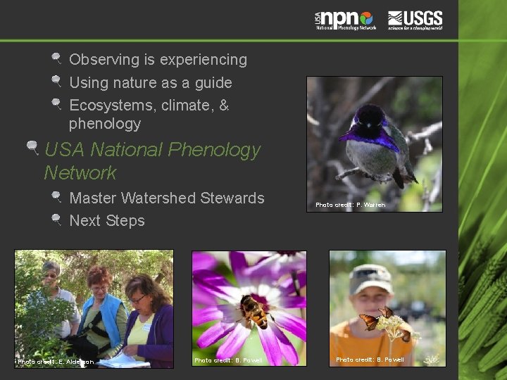 Observing is experiencing Using nature as a guide Ecosystems, climate, & phenology USA National