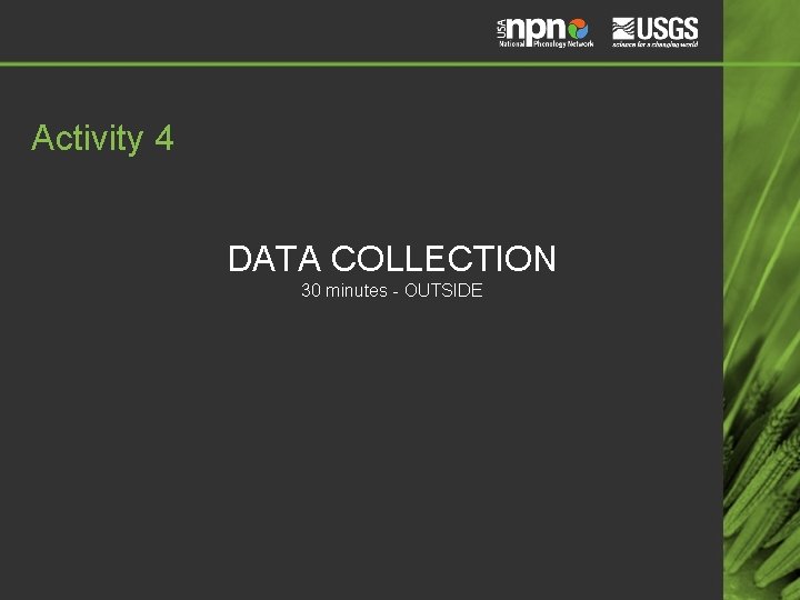 Activity 4 DATA COLLECTION 30 minutes - OUTSIDE 