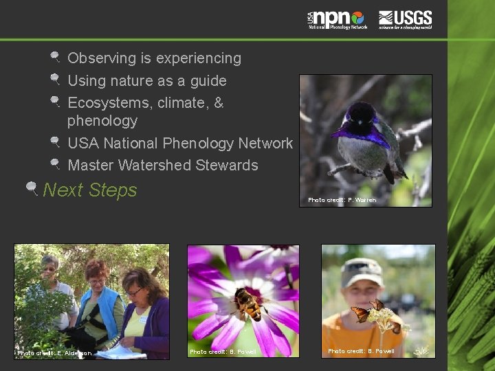 Observing is experiencing Using nature as a guide Ecosystems, climate, & phenology USA National
