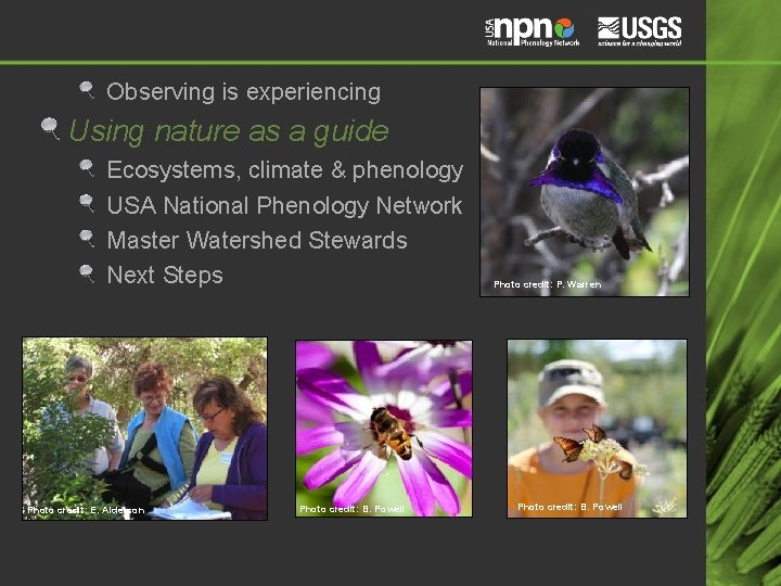 Observing is experiencing Using nature as a guide Ecosystems, climate & phenology USA National