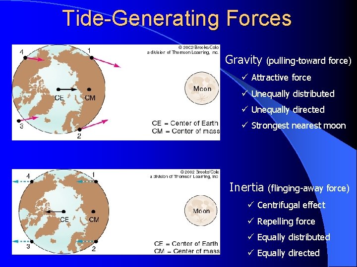 Tide-Generating Forces Gravity (pulling-toward force) ü Attractive force ü Unequally distributed ü Unequally directed
