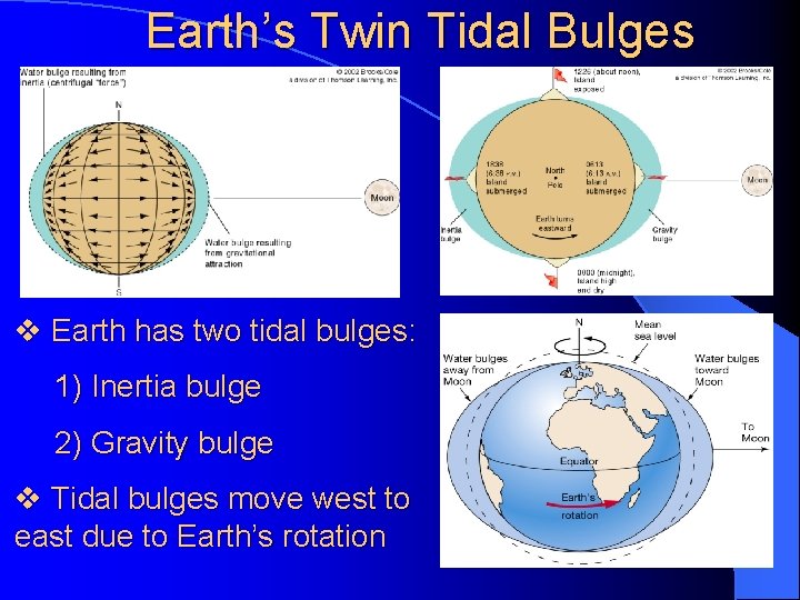 Earth’s Twin Tidal Bulges v Earth has two tidal bulges: 1) Inertia bulge 2)