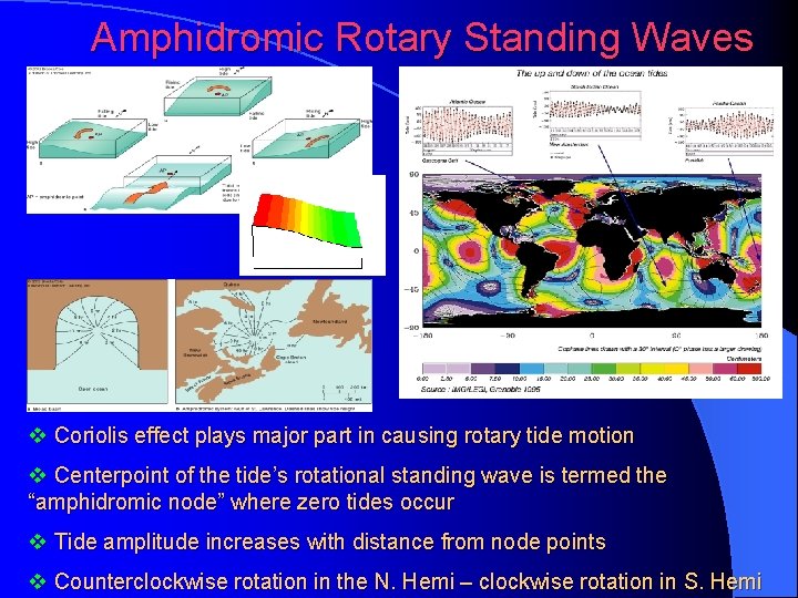 Amphidromic Rotary Standing Waves v Coriolis effect plays major part in causing rotary tide