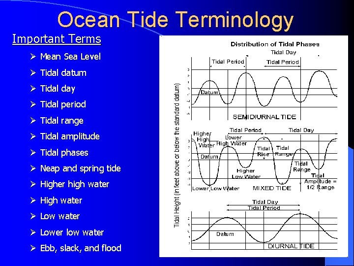 Ocean Tide Terminology Important Terms Ø Mean Sea Level Ø Tidal datum Ø Tidal