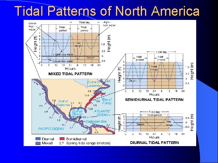 Tidal Patterns of North America 