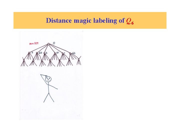 Distance magic labeling of Q 6 