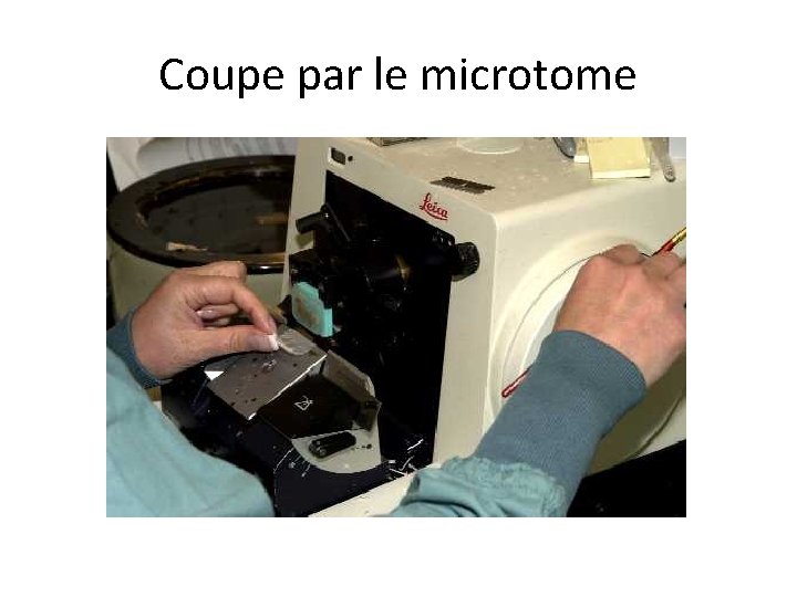 Coupe par le microtome 