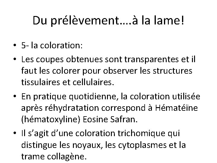 Du prélèvement…. à la lame! • 5 - la coloration: • Les coupes obtenues