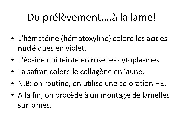 Du prélèvement…. à la lame! • L'hématéïne (hématoxyline) colore les acides nucléiques en violet.
