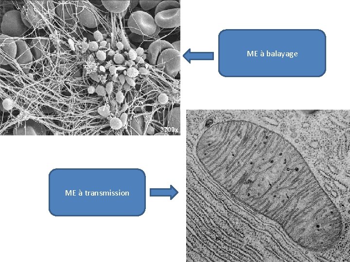 ME à balayage ME à transmission 