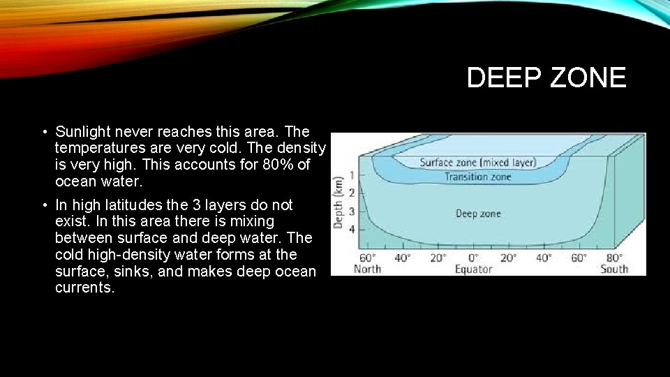 DEEP ZONE • Sunlight never reaches this area. The temperatures are very cold. The