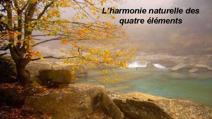L’harmonie naturelle des quatre éléments 